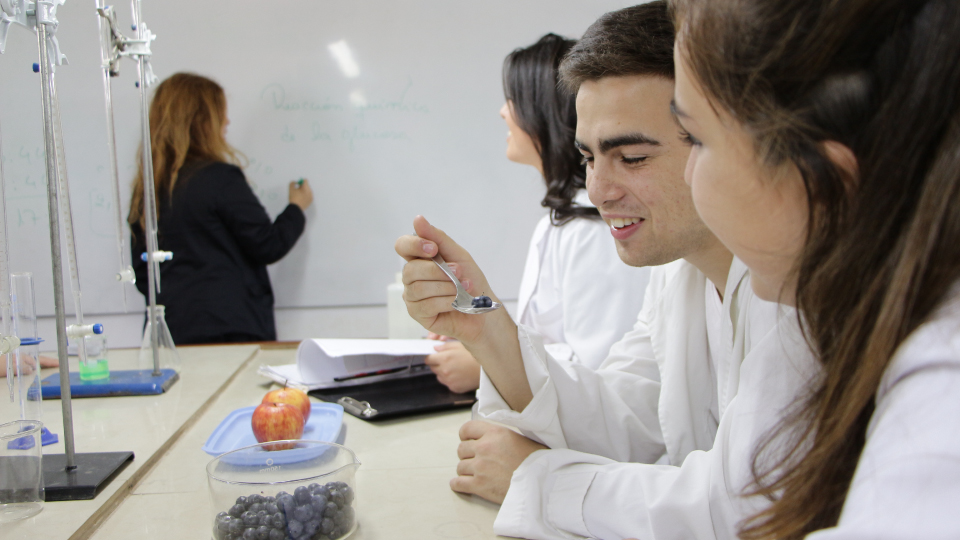 Licenciatura en Ciencia y Tecnología de los Alimentos (Lules, Tucumán)