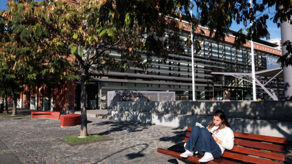 Carrera de Bibliotecología (A distancia)