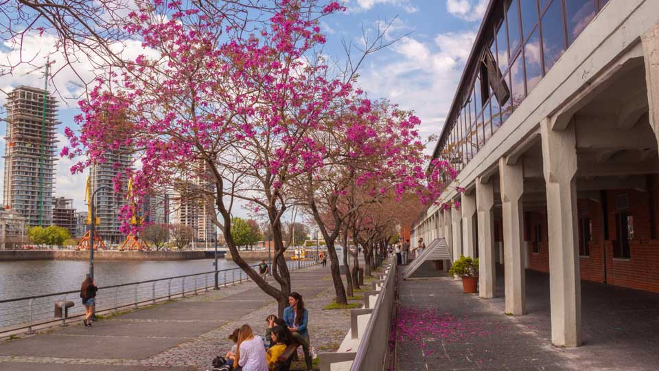 Carrera de Odontología (Puerto Madero, Capital Federal)