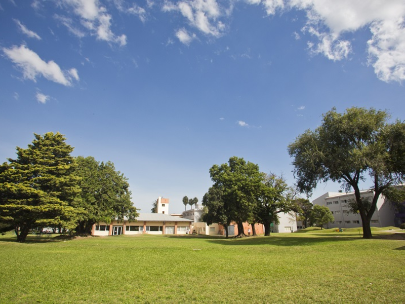 Licenciatura en la Enseñanza del Inglés (A distancia)