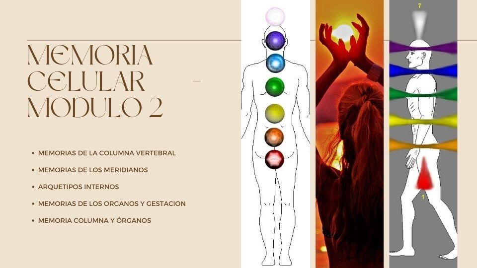 Curso de Reiki Usui (A distancia)