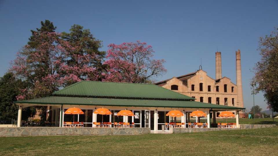 Licenciatura en Ciencia Politica (San Miguel de Tucumán)